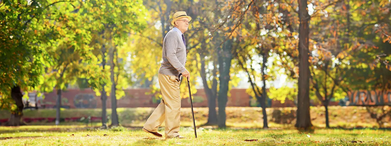 Senior spaziert mit Gehstock durch einen grünen Park